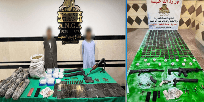 عناصر شديدة الخطورة