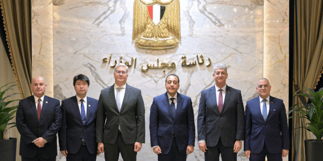 شركات مصرية وصينية فى مشروع للتبروكيماويات