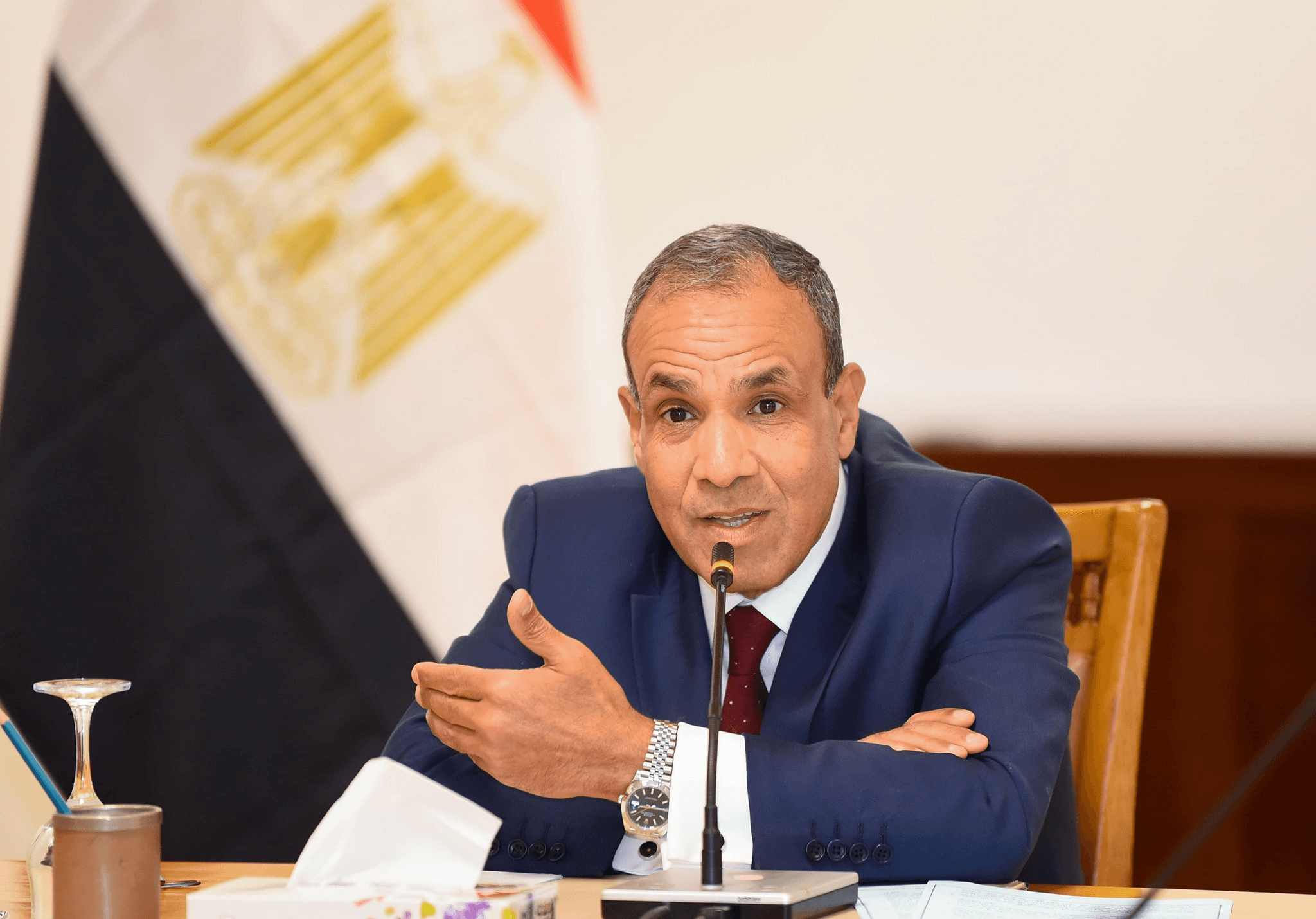 وزير الخارجية المصرية
