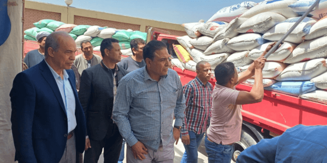 موسم القمح