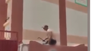 جريمة فى مدرسة