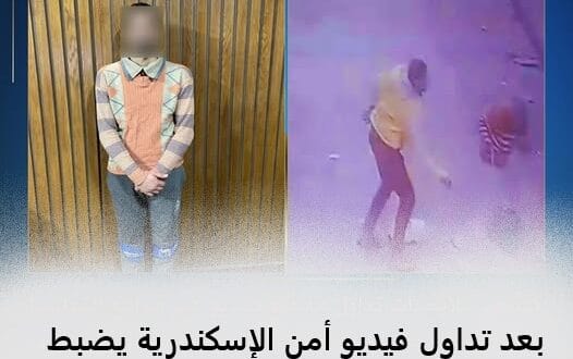 بلطجى فى الإسكندرية