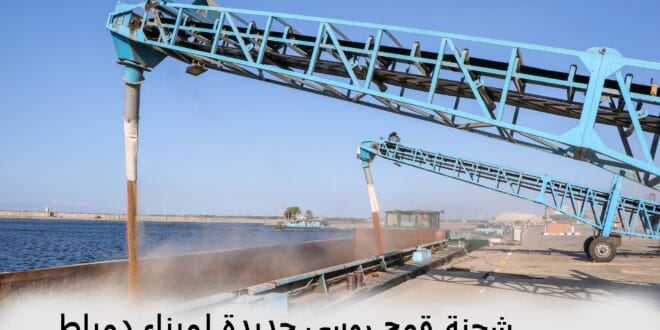 شحنة قمح روسي فى ميناء دمياط