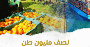 #الصادرات الزراعية المصرية للأسواق العاليمة ##